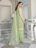 Embroidered Chiffon Dresses For Women