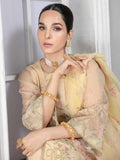 pure chiffon dresses